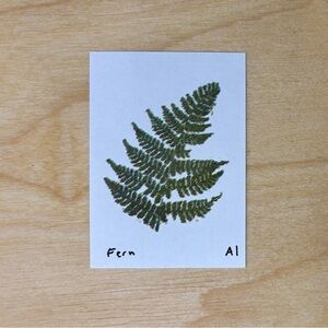 Inciardi Fern Mini Print